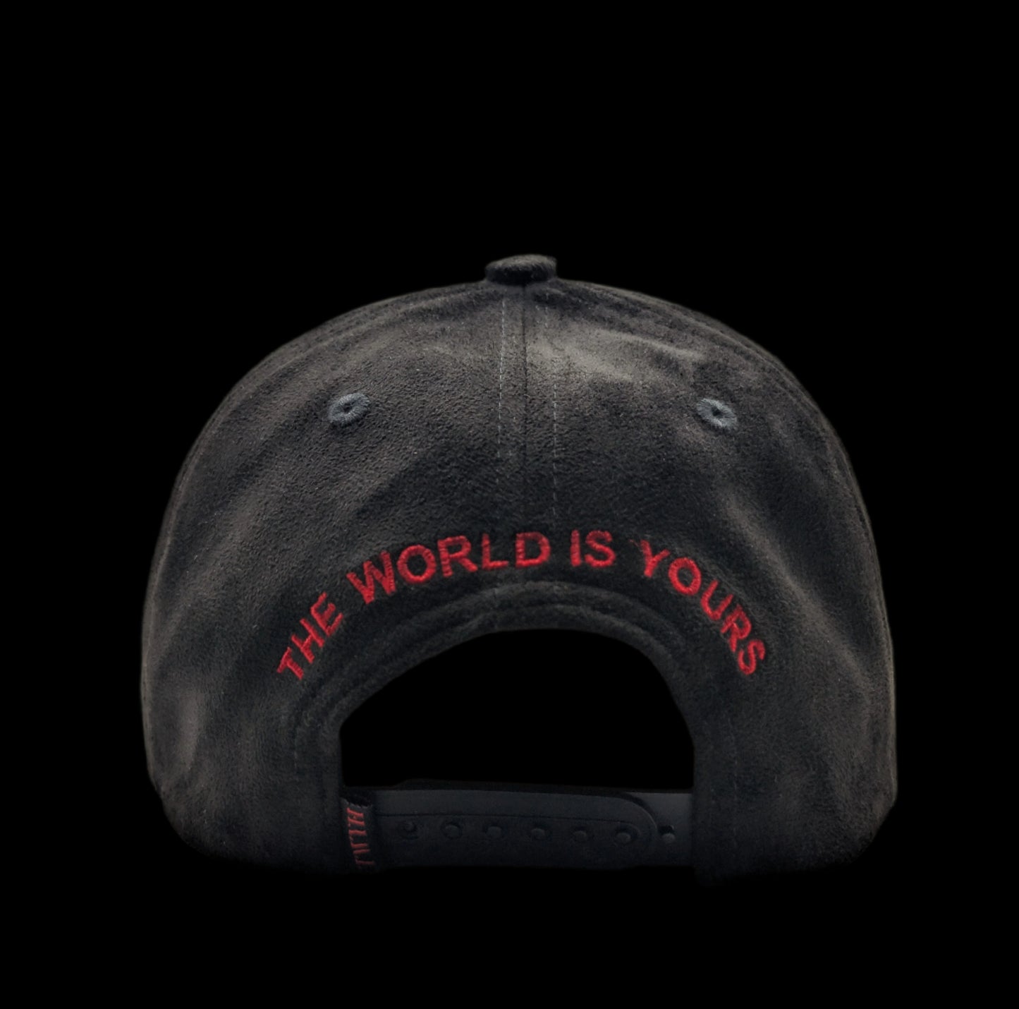 THE WORLD IS YOURS
